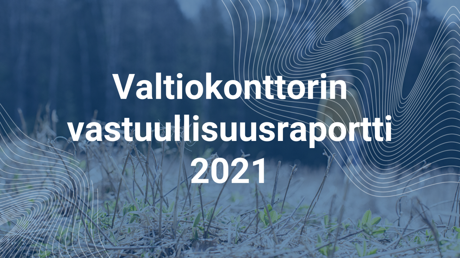 Valtiokonttorin Vastuullisuusraportti 2021 - Valtiokonttori