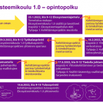 Törmäämössä 17.12. Ekosysteemikoulu