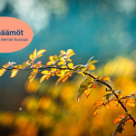 Tervetuloa Törmäämöön 17.10. ilmiölähtöisen yhteiskehittämisen pariin!