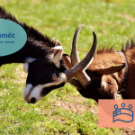 Ja taas Törmätään!