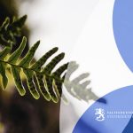 Luontopositiivinen hallinto -päätöstilaisuus 22.9.